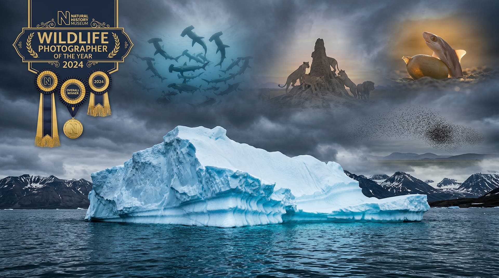 Wildlife Photographer of the Year 2024 Unveils Jaw-Dropping Winners